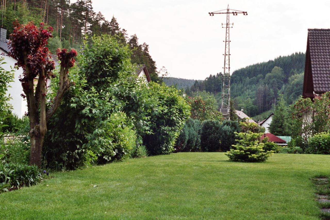 Ferienwohnungen Im Herzen Des Pfaelzerwaldes Elmstein Kültér fotó